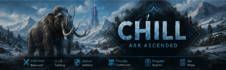 CHILL banner — snow